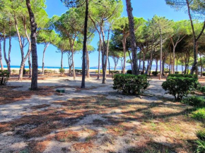 Appartement T2 rénové - 4 pers - 50m de la plage - Accès jardin - Idéal familles/amigos - FR-1-309-450